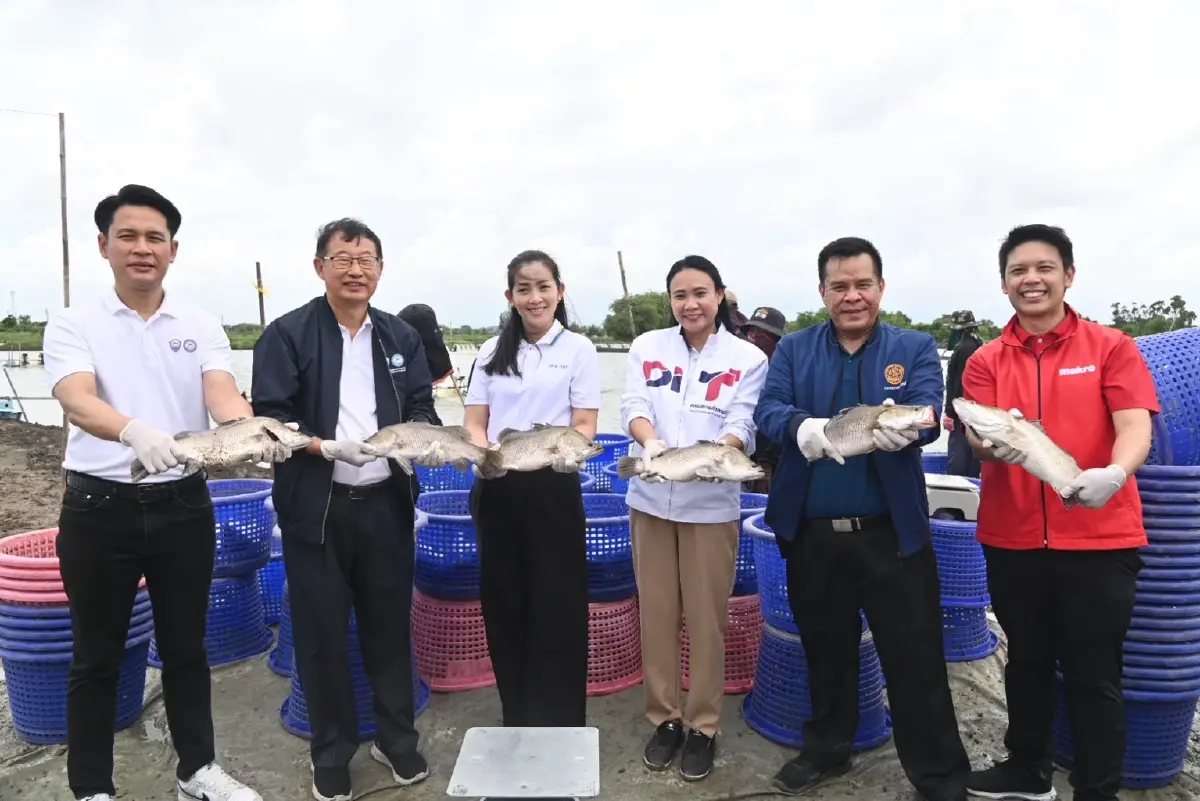 พาณิชย์ ร่วม ซีพี แอ็กซ์ตร้า 'รับซื้อปลากะพง' 3,200 ตัน ทั่วประเทศ