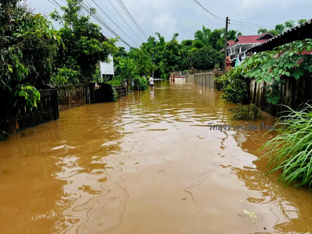 ด่วน! ขนของขึ้นที่สูง ลำน้ำแม่กลาง ขึ้นสูงวิกฤต น้ำท่วม อ.จอมทอง