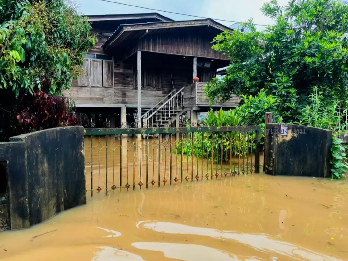 ด่วน! ขนของขึ้นที่สูง ลำน้ำแม่กลาง ขึ้นสูงวิกฤต น้ำท่วม อ.จอมทอง