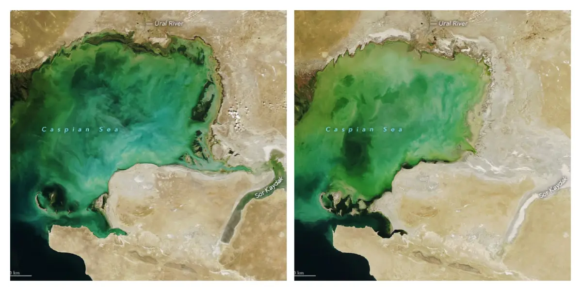 ‘ทะเลแคสเปียน’ กำลังหดตัว น้ำตื้นเหลือแต่ทราย ‘แมวน้ำ’ เสี่ยงสูญพันธุ์
