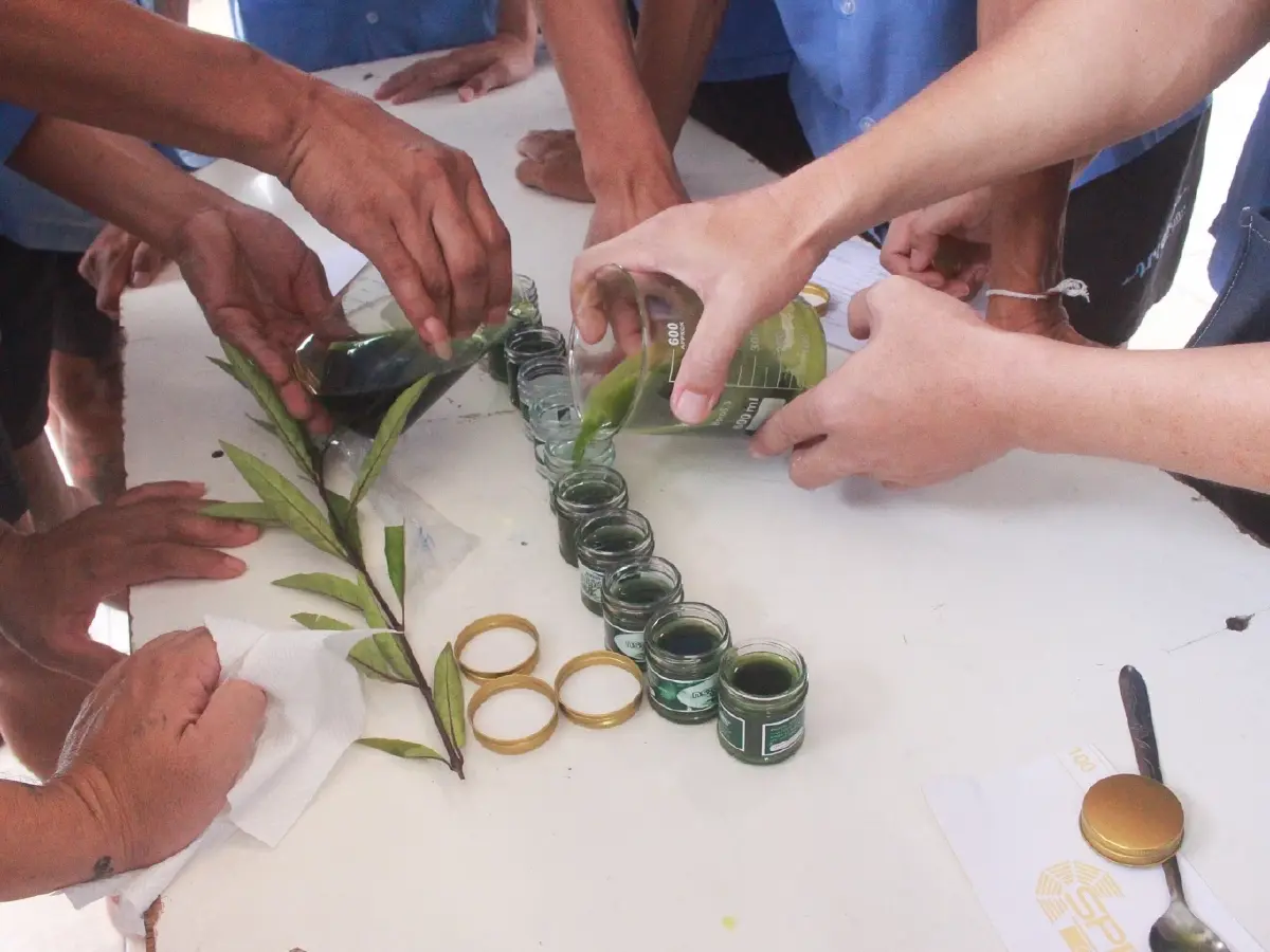 ตรวจธาตุเจ้าเรือน 'อภัยภูเบศร'  คืนสมดุลตามเจ้าเรือนรายบุคคล