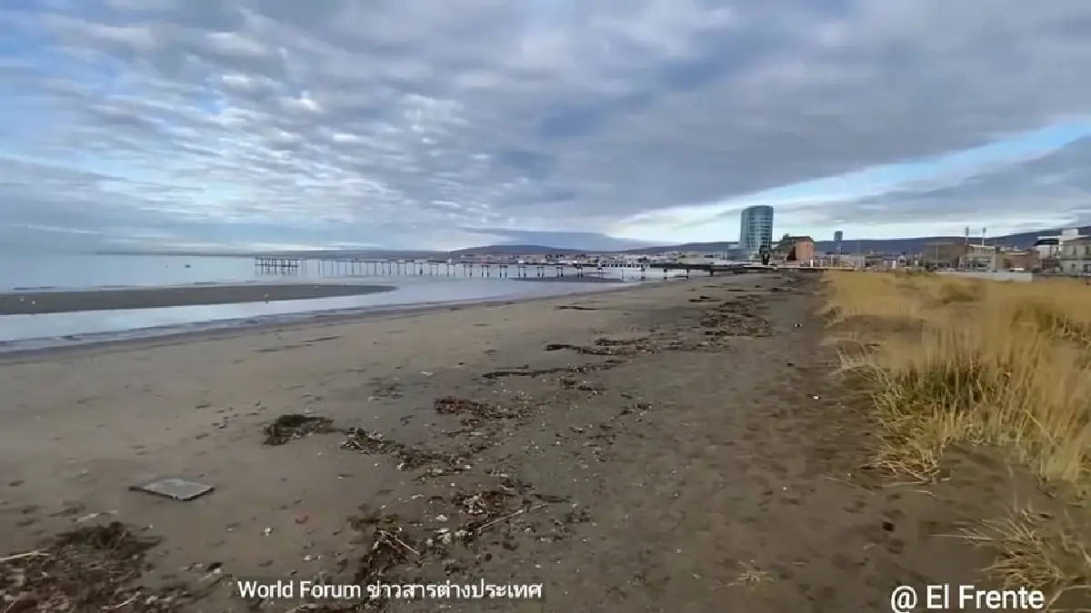 สัญญาณเตือนสึนามิ อาร์เจนตินา-ชิลี แผ่นดินไหวใหญ่ สะเทือนถึงไหน