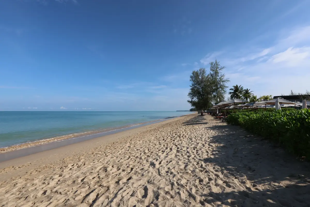 จิ๋วแต่แจ๋ว! รีวิว 'Canon PowerShot V1' กล้องคู่ใจสายครีเอเตอร์