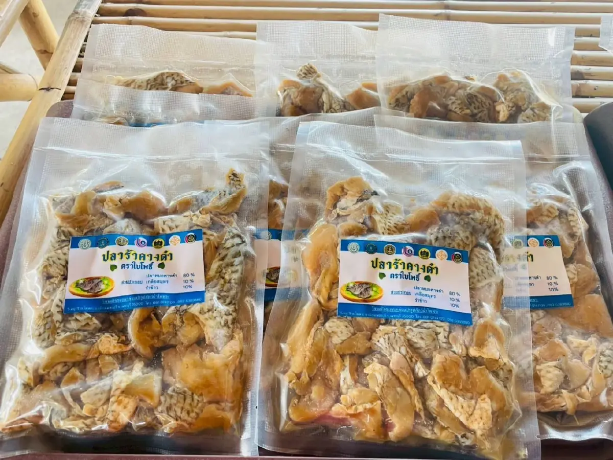 'ปลาหมอคางดำ' สู่สารพัดเมนูความอร่อยบนโต๊ะอาหาร ครบโภชนาการ