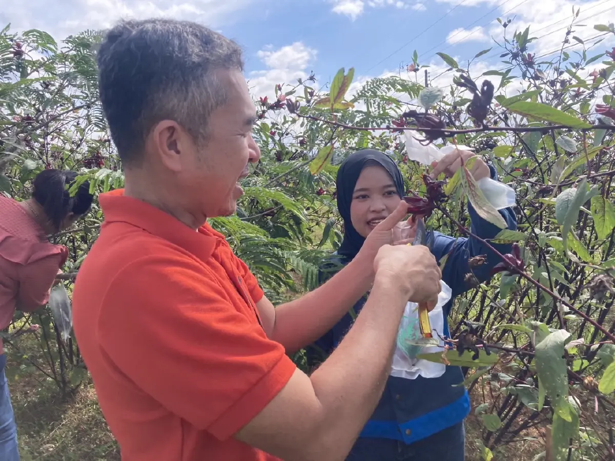เกษตรฯ เปิดจุดบริการ DOAE ฝึกปฏิบัติการผลิต “พืชพันธุ์ดี”