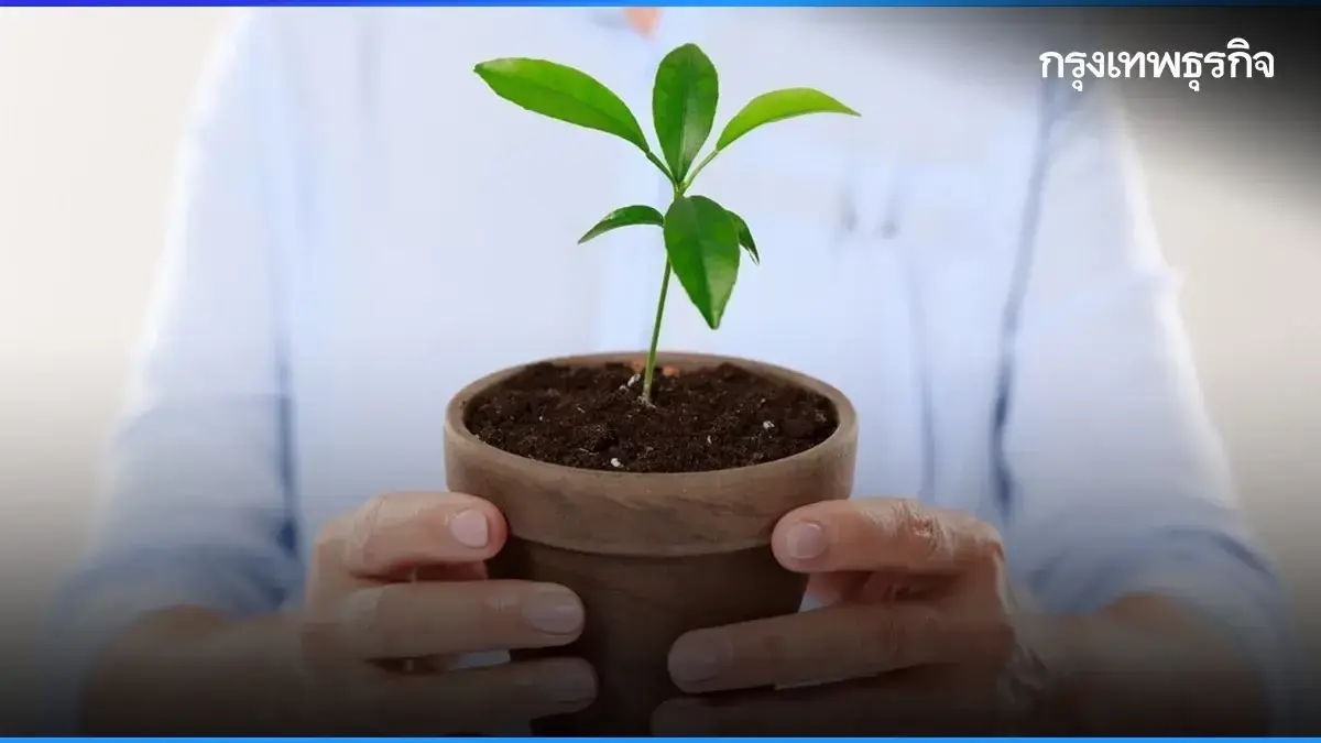 พิกัดแจกกล้าไม้ ต้นไม้ฟรี กทม. - ทั่วไทย พันธุ์ไม้ดอก ไม้ผล รับได้