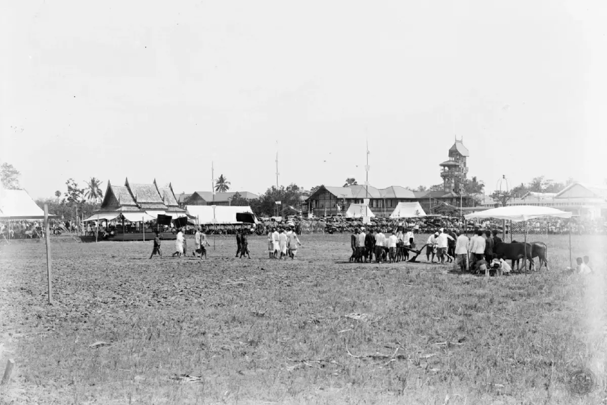สามท้องทุ่งสำคัญ ในพระราชพิธีพืชมงคลจรดพระนังคัลแรกนาขวัญ