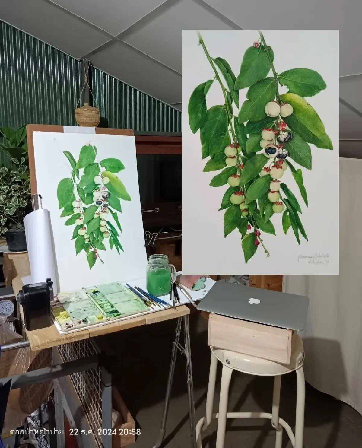 คุยกับ ‘ป้าจาย’ พูลทรัพย์ เจตลีลา เจ้าของฉายา ‘แม่มดดอกไม้’ ว่าด้วยเรื่องดอกไม้ใบหญ้าและชีวิตสิบปีที่ ‘ปาย’