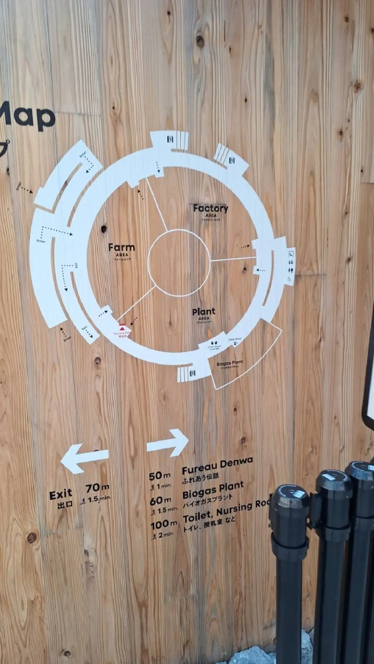 ญี่ปุ่น 'พาวิลเลียน' มีชีวิตที่กินขยะ No.1 เอ็กซ์โป 2025 โอซากา