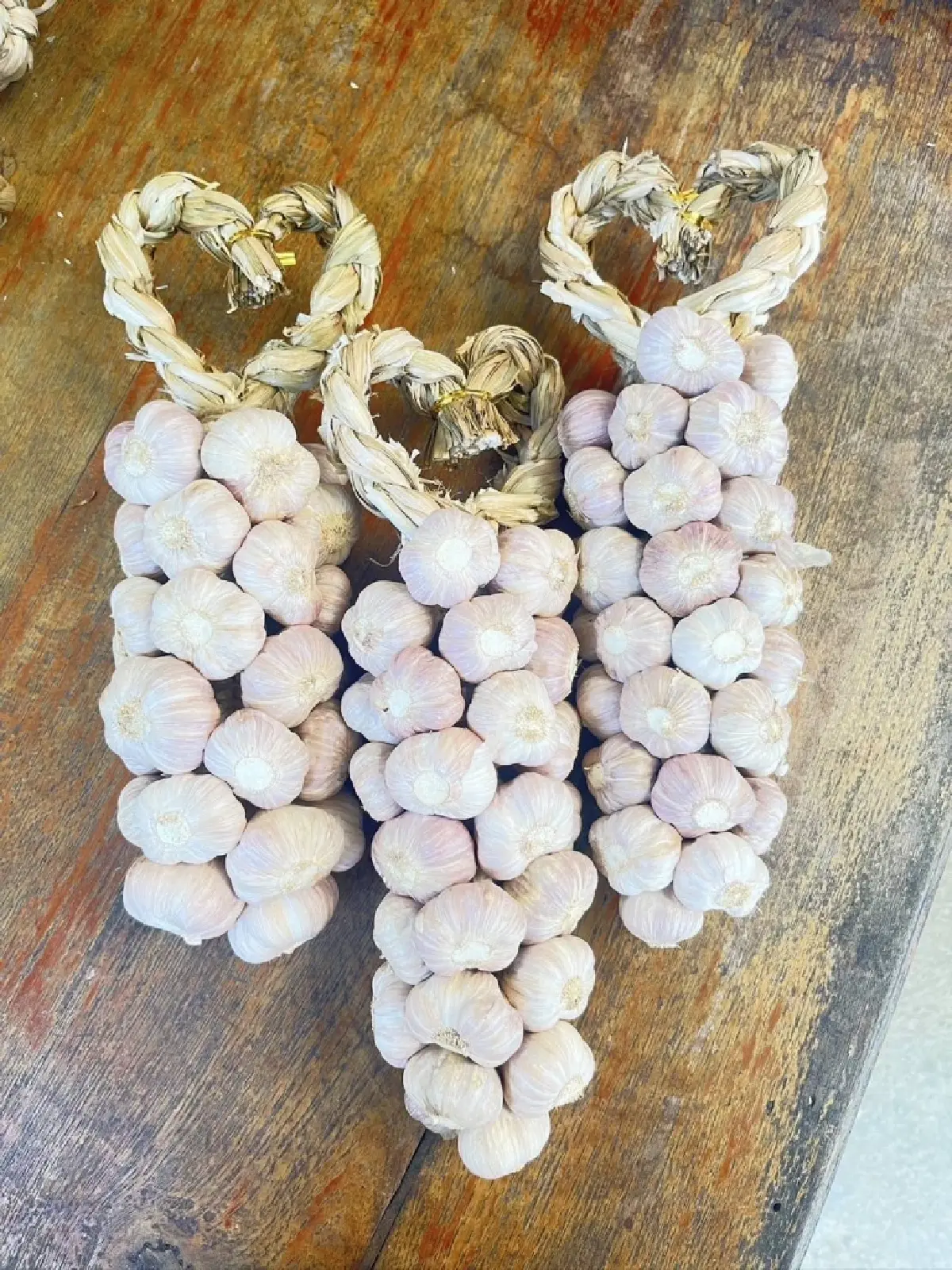 แม่ฮ่องสอนโมเดล ยกระดับกระเทียม  สู่สินค้าเกษตรมูลค่าสูง