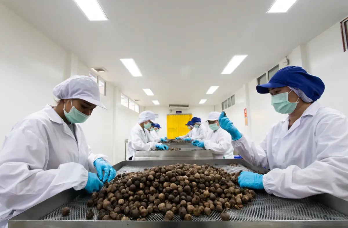 อาหารแห่งอนาคต-สุขภาพโต  กำแพงภาษี-เศรษฐกิจโลกไม่ใช่อุปสรรค