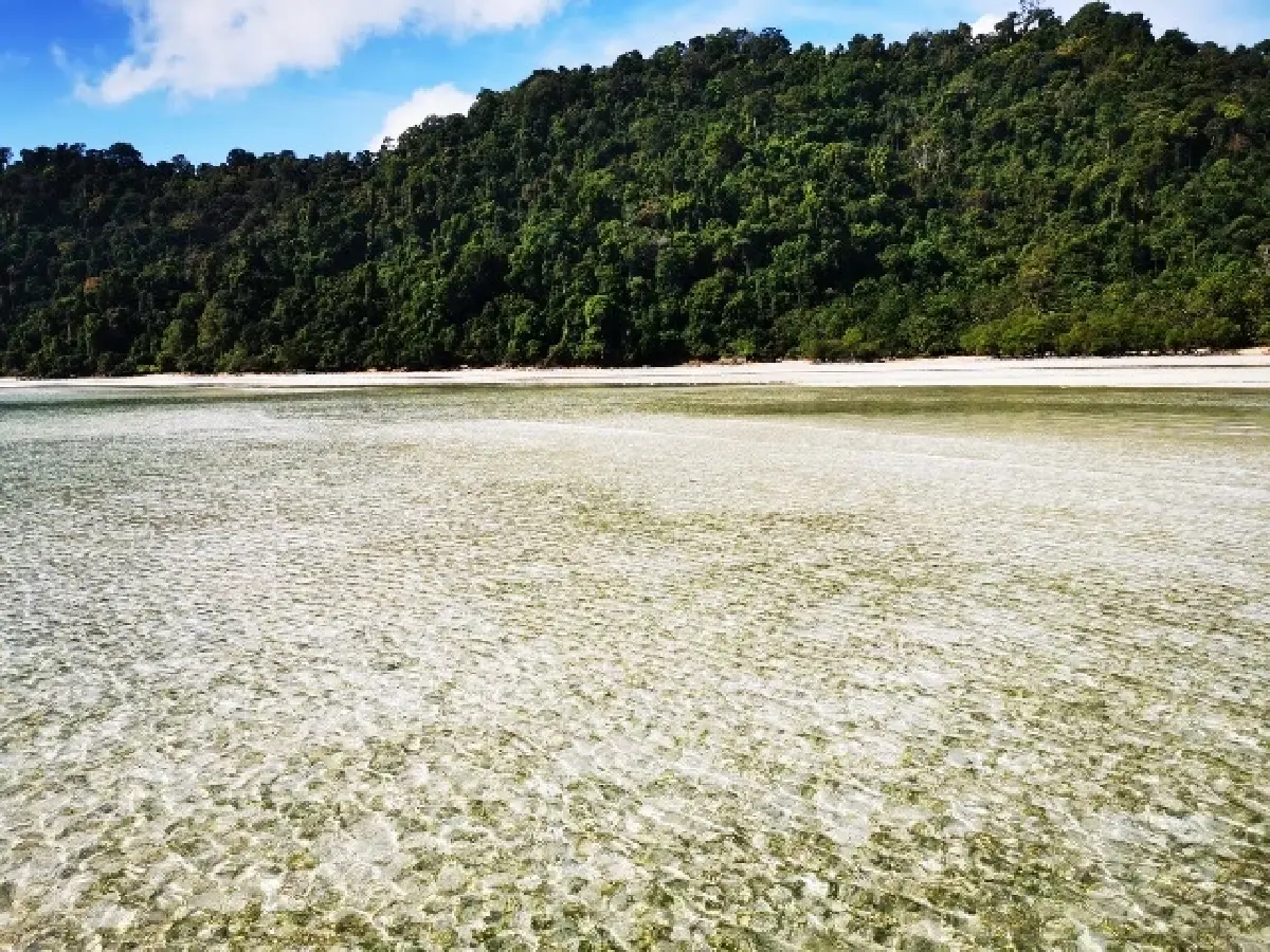 ตามข่าว ‘หมู่เกาะสุรินทร์’  อุทยานฯ ที่มี ‘ปะการังน้ำตื้น’ สวยงาม