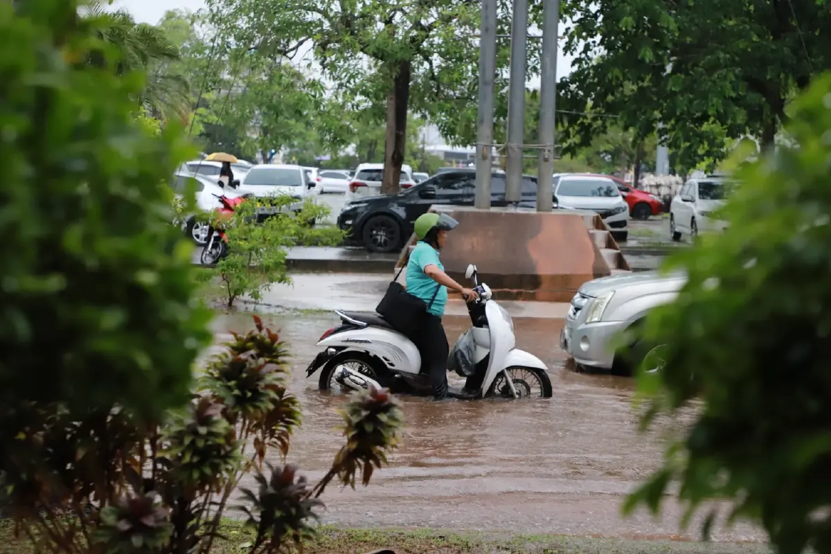 ฝนถล่มหนัก สุราษฎร์ธานี น้ำท่วมขังหลาย จุดถนนหลายสายจมบาดาล