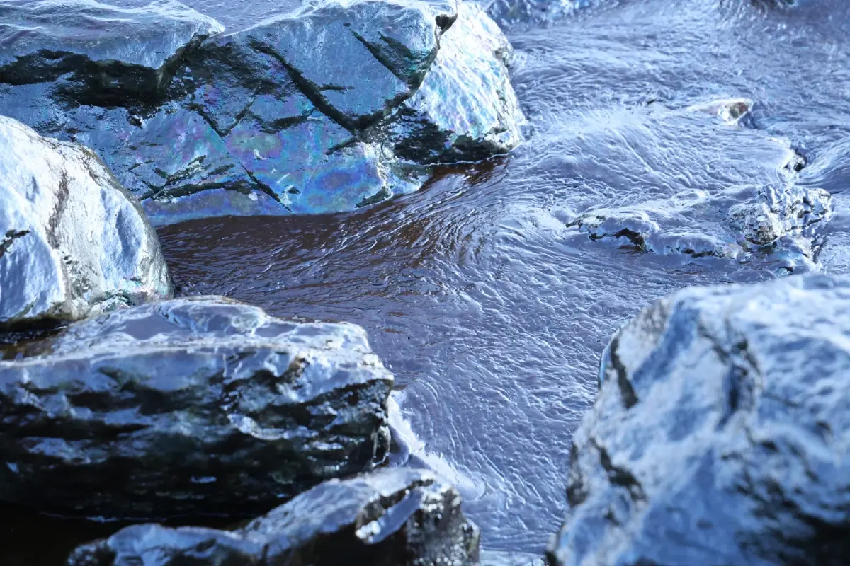 วิกฤตน้ำมันเรือรั่วเกาะสีชัง ห้ามจับสัตว์น้ำมากิน ไม่ลงเล่นน้ำ