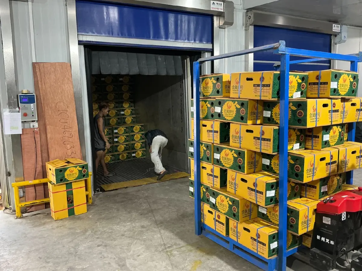 ‘กรมราง’ ดันส่งออกทุเรียน หนุนใช้เส้นทางมาบตาพุด - จีน