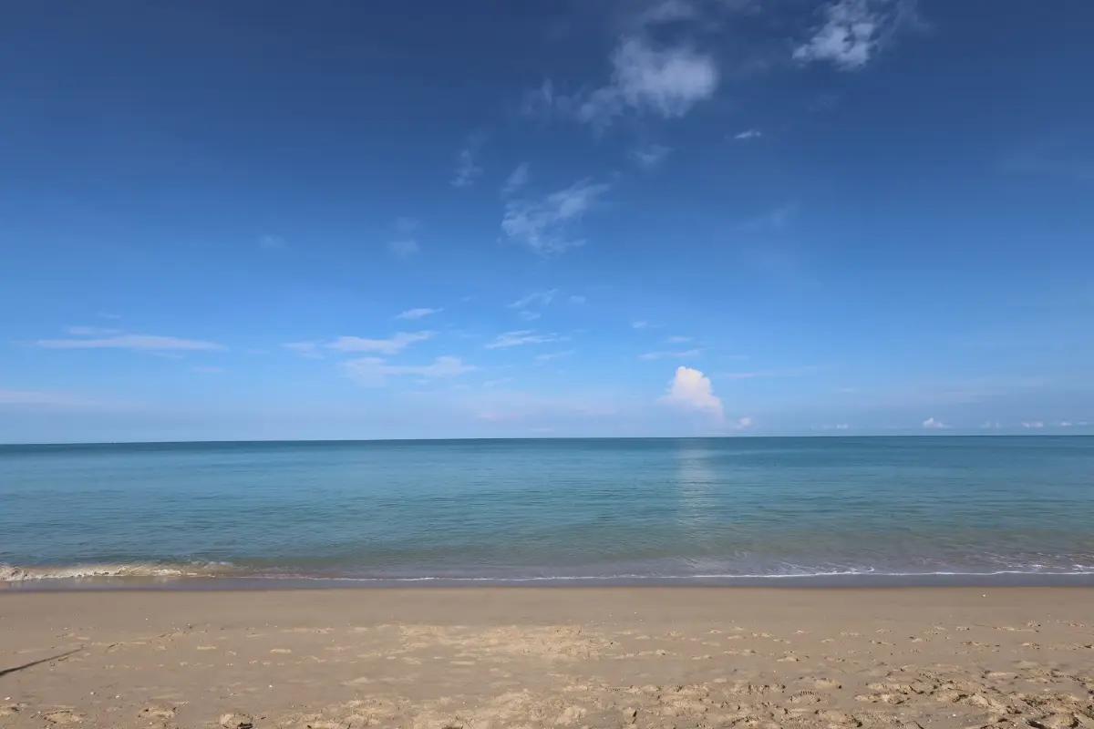 จิ๋วแต่แจ๋ว! รีวิว 'Canon PowerShot V1' กล้องคู่ใจสายครีเอเตอร์