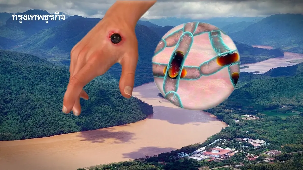 แกะรอย ‘โรคแอนแทรกซ์’ เข้าไทย ขุดถึง ‘ไขกระดูก’  ลอยตามแม่น้ำโขง?