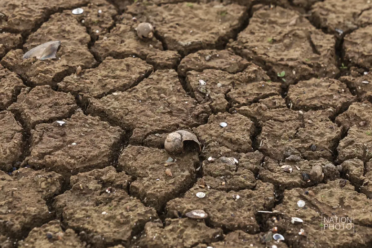 ภัยแล้งวิกฤติ รอบ 20 ปี 'เขื่อนลำตะคอง' น้ำเหลือ 9% ซากบ้านเก่าโผล่