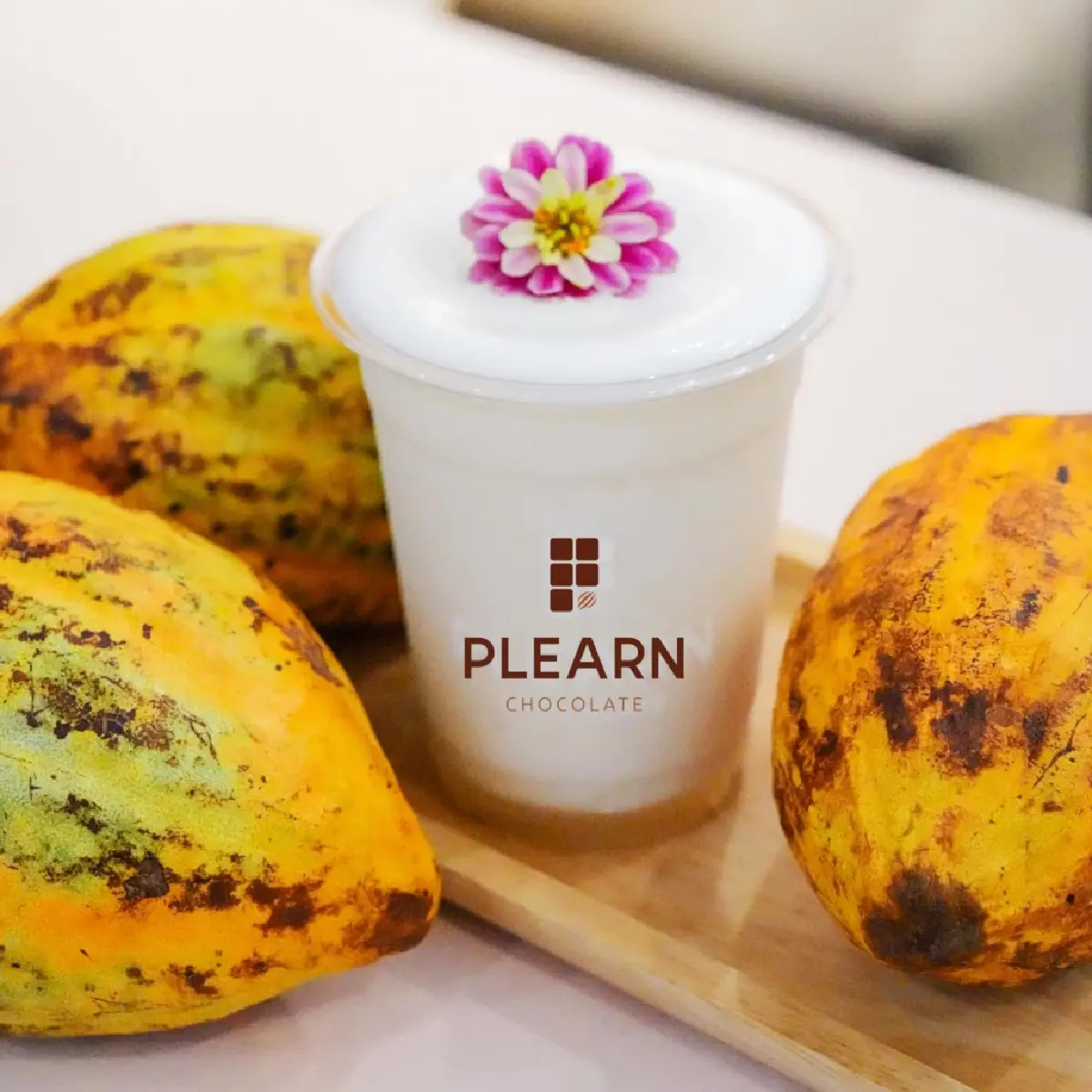 คนรัก ‘โกโก้’ ห้ามพลาด! THAILAND CRAFT COCOA 2025 วันที่ 19-25 พ.ค. 68