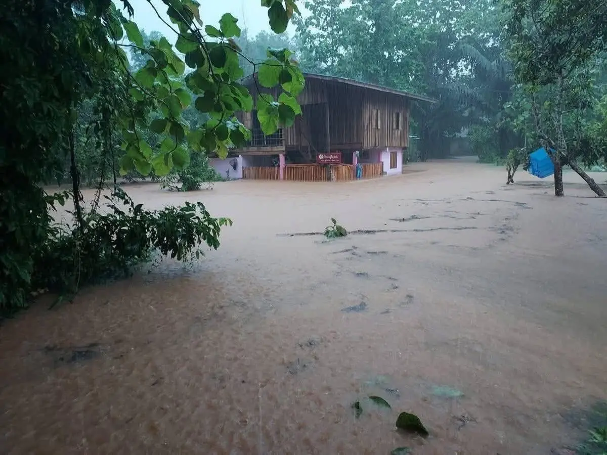 ขนของขึ้นที่สูง ฝนตกหนักถล่มน่าน-พะเยา ต้นน้ำวิกฤต น้ำท่วมแล้ว