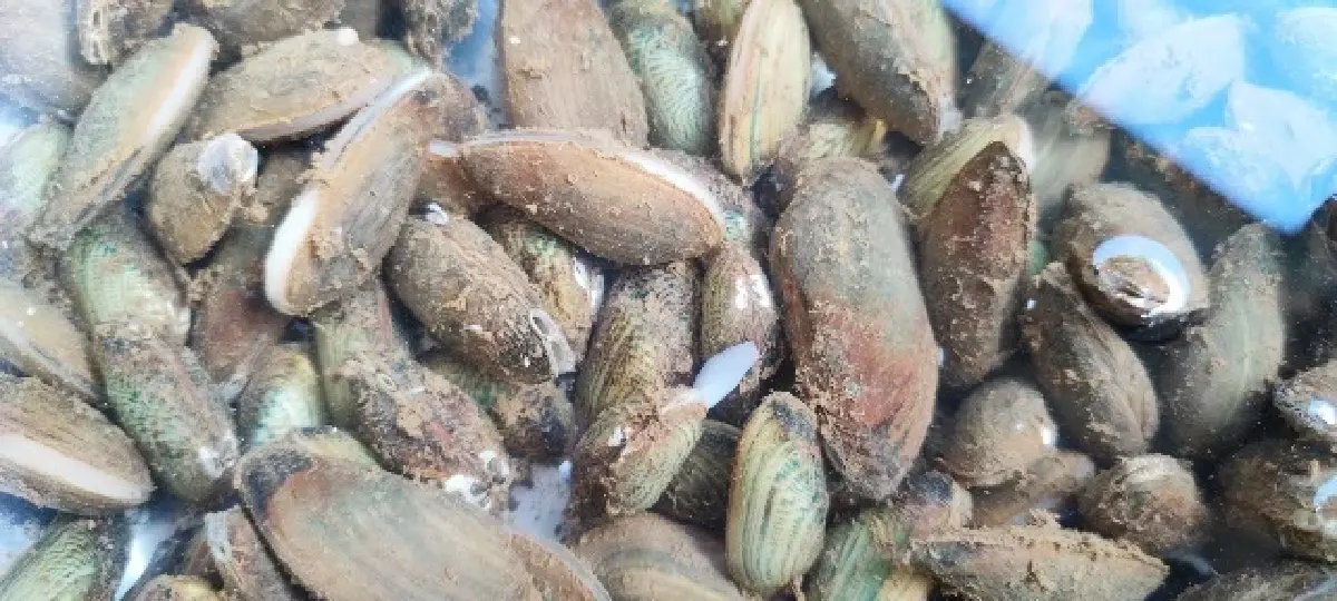 ‘ท่องเที่ยวฤดูฝน’ สัมผัสวิถีริมน้ำ ใต้ราง..ทางรถไฟลอยฟ้า