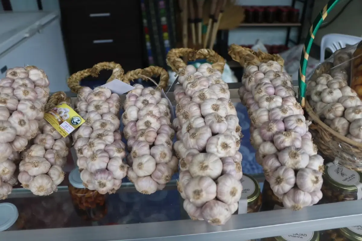 แม่ฮ่องสอนโมเดล ยกระดับกระเทียม  สู่สินค้าเกษตรมูลค่าสูง