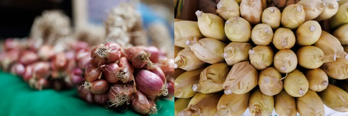 ทฤษฎีแห่งความสุข : สุข ... การเงินการเกษตร โดย ธันย่า - ธันยลักษณ์ พรหมมณี