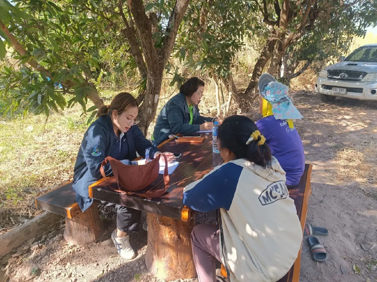 แปลงใหญ่มะม่วงส่งออกหนองแซง เพิ่มรายได้เกษตรกรปีละ 4 ล้านบาท