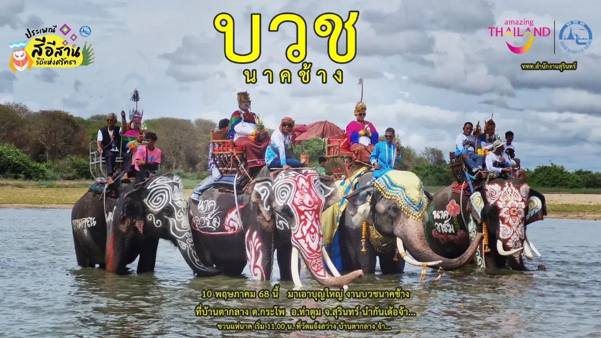 หนึ่งปีมีครั้ง 'ประเพณีบวชนาคช้าง' จ.สุรินทร์ วันที่ 10 พ.ค. 68