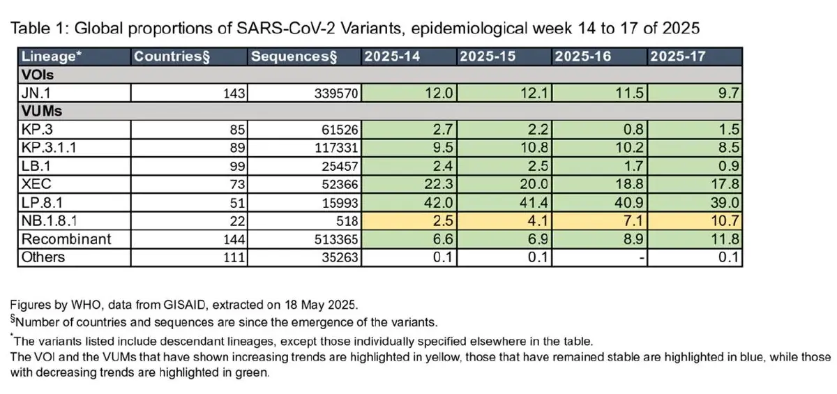เดือนก่อน ไทยป่วยโควิดเข้า รพ. 170,000 คน ตาย 37 คน เช็กสายพันธุ์มาแรง