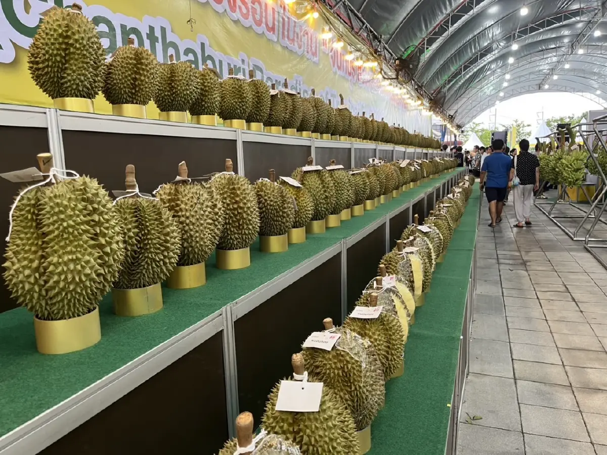 ชวนเที่ยวจันทบุรี สวรรค์แห่งผลไม้เมืองร้อน 68 เปิดตัวทุเรียน GI