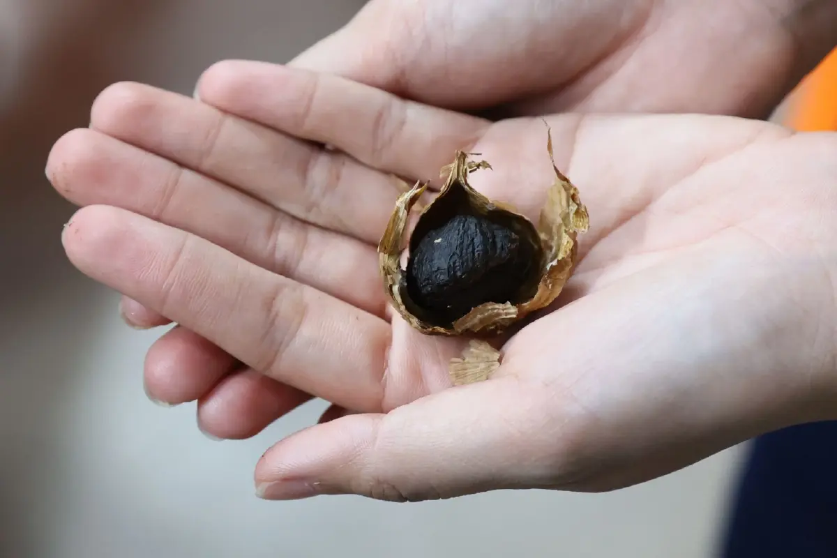 อาหารแห่งอนาคต-สุขภาพโต  กำแพงภาษี-เศรษฐกิจโลกไม่ใช่อุปสรรค