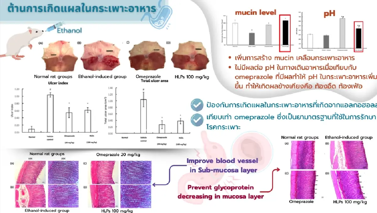 ครั้งแรกของโลก! HeLP ชีวโมเลกุลยางพารา นวัตกรรมปรับสมดุล ต้านมะเร็ง