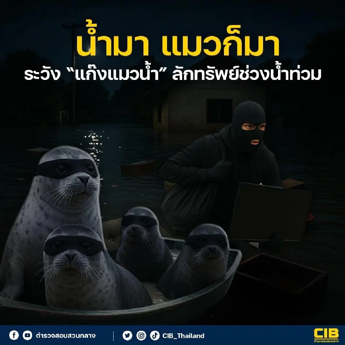 ฝนตกน้ำท่วม ระวัง 'แก๊งแมวน้ำ' ลักทรัพย์ช่วงฤดูฝน