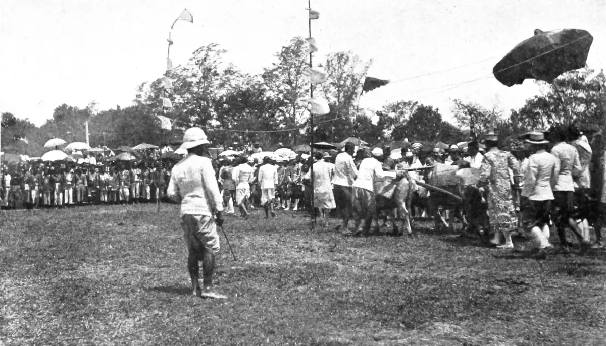 สามท้องทุ่งสำคัญ ในพระราชพิธีพืชมงคลจรดพระนังคัลแรกนาขวัญ