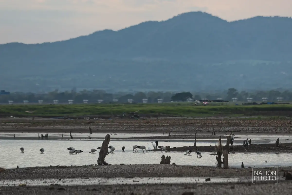ภัยแล้งวิกฤติ รอบ 20 ปี 'เขื่อนลำตะคอง' น้ำเหลือ 9% ซากบ้านเก่าโผล่