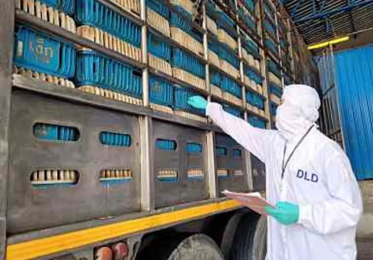 ปศุสัตว์  ลุ้นส่งออกไก่พุ่ง หลังบราซิลเจอหวัดนก ย้ำเข้มแผนป้อง