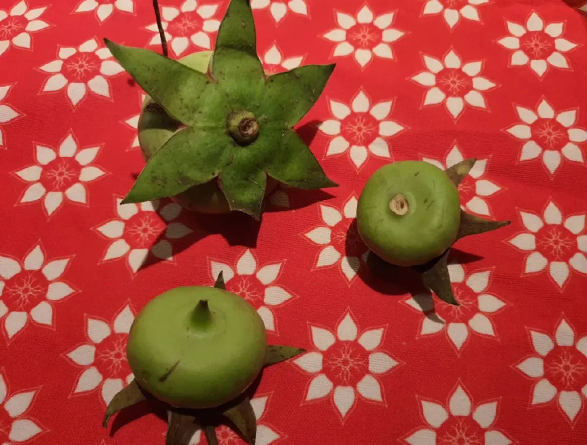 'ศูนย์การเรียนรู้เสน่ห์บางลำพู' ท่องเที่ยวชุมชน กิน เที่ยว อิ่ม