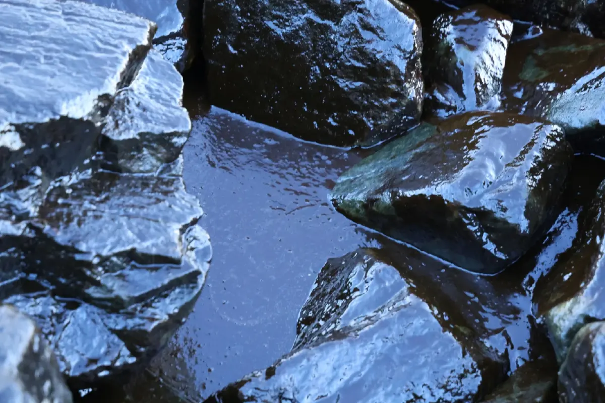 วิกฤตน้ำมันเรือรั่วเกาะสีชัง ห้ามจับสัตว์น้ำมากิน ไม่ลงเล่นน้ำ