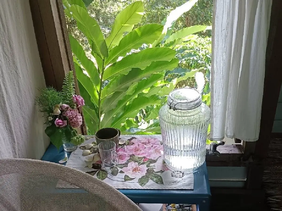 คุยกับ ‘ป้าจาย’ พูลทรัพย์ เจตลีลา เจ้าของฉายา ‘แม่มดดอกไม้’ ว่าด้วยเรื่องดอกไม้ใบหญ้าและชีวิตสิบปีที่ ‘ปาย’