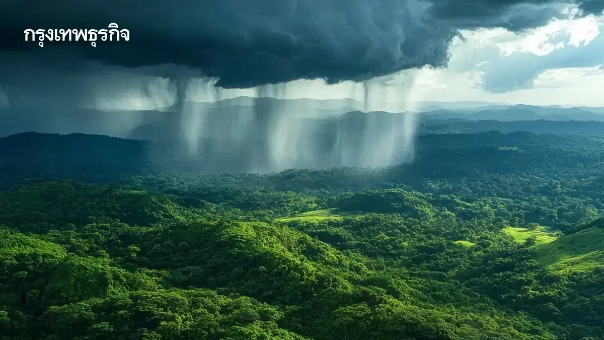 ไทยฝนเพิ่ม อุตุ เผยทั่วไทย 65 จว ฝนตกหนักถึงหนักมาก น้ำท่วม ดินถล่ม