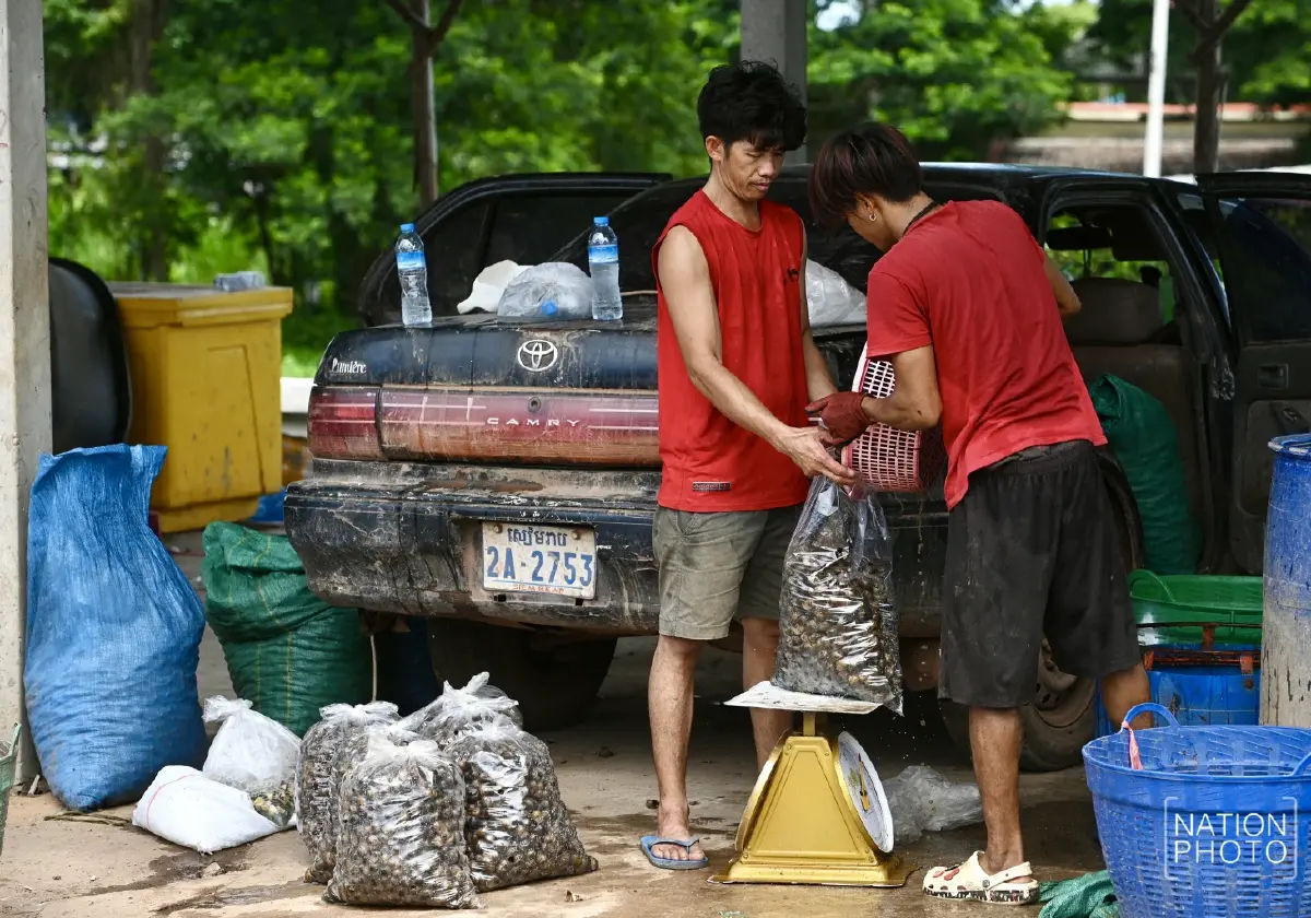 กระทบหนัก! ชาวกัมพูชาขายเห็ดได้น้อย จำกัดเวลาเปิดปิดด่าน