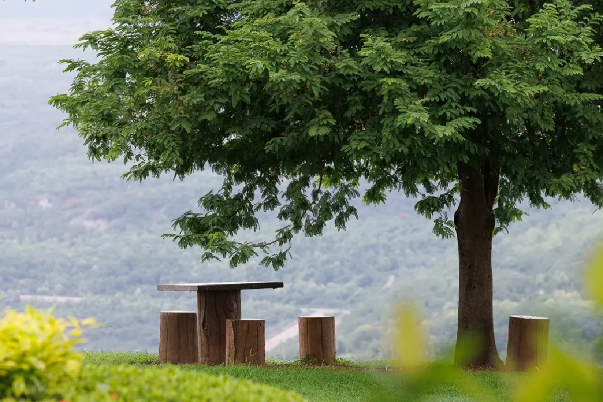 เที่ยวแม่เมาะเบิกบาน เพราะทุกฤดูกาลคือการเรียนรู้