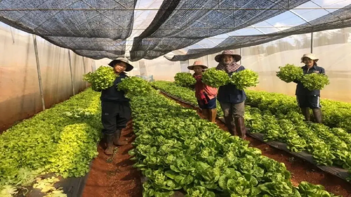 หาเงินขยายธุรกิจ ออมสิน ให้ 1 ล้าน สินเชื่อธุรกิจรายย่อย ผ่อน 10 ปี