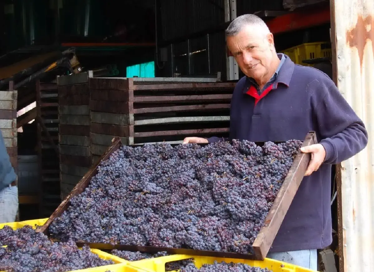 อะมาโรเน ไวน์หมัดหนักที่คลาสสิก