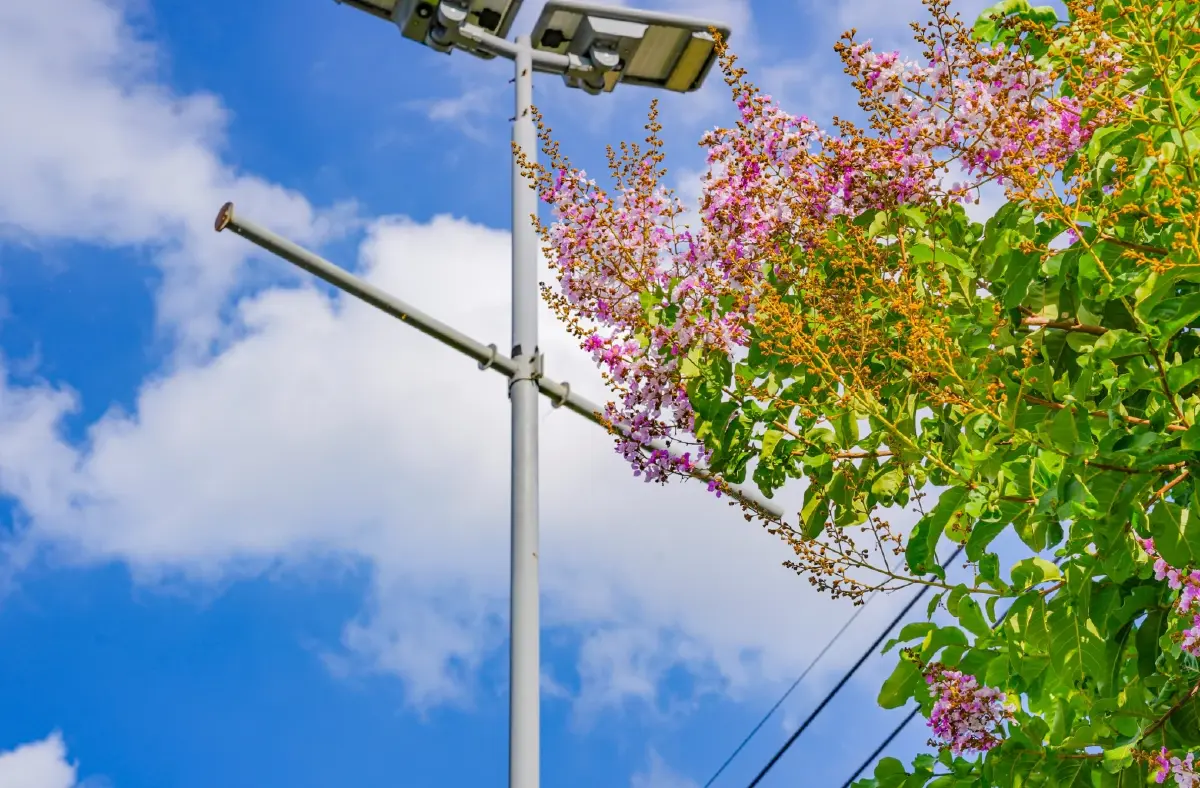 โรบินสันไลฟ์สไตล์  เคลื่อนธุรกิจสีเขียว มุ่งหน้า Net Zero