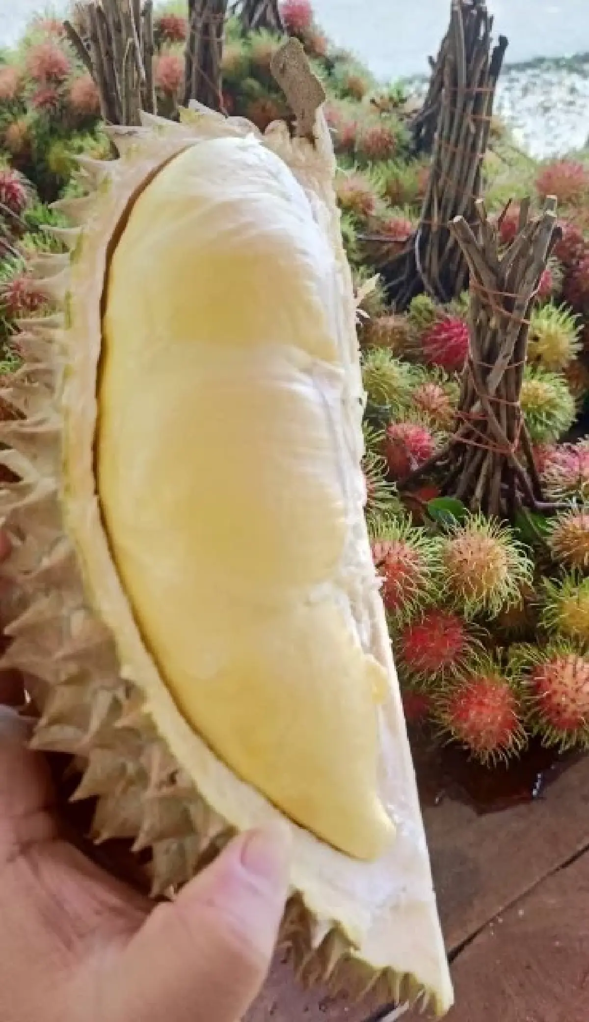 ไปให้เขากอดที่ ‘ทองผาภูมิ’ ธรรมชาติแสนงดงาม ที่ 'กาญจนบุรี'