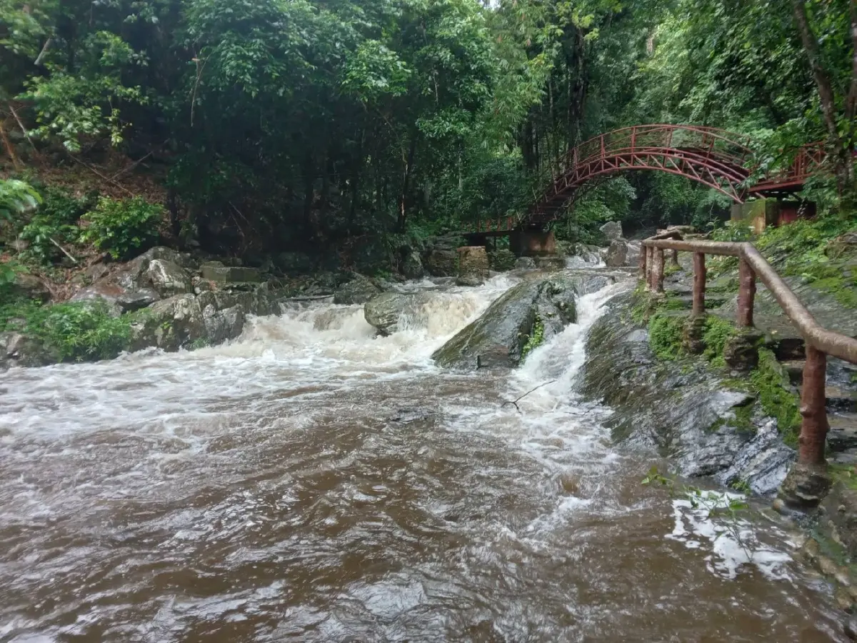 ฝนตกหนัก ทางลื่น จำกัดเข้าชม 'น้ำตกป่าละอู' เพื่อความปลอดภัยนทท.