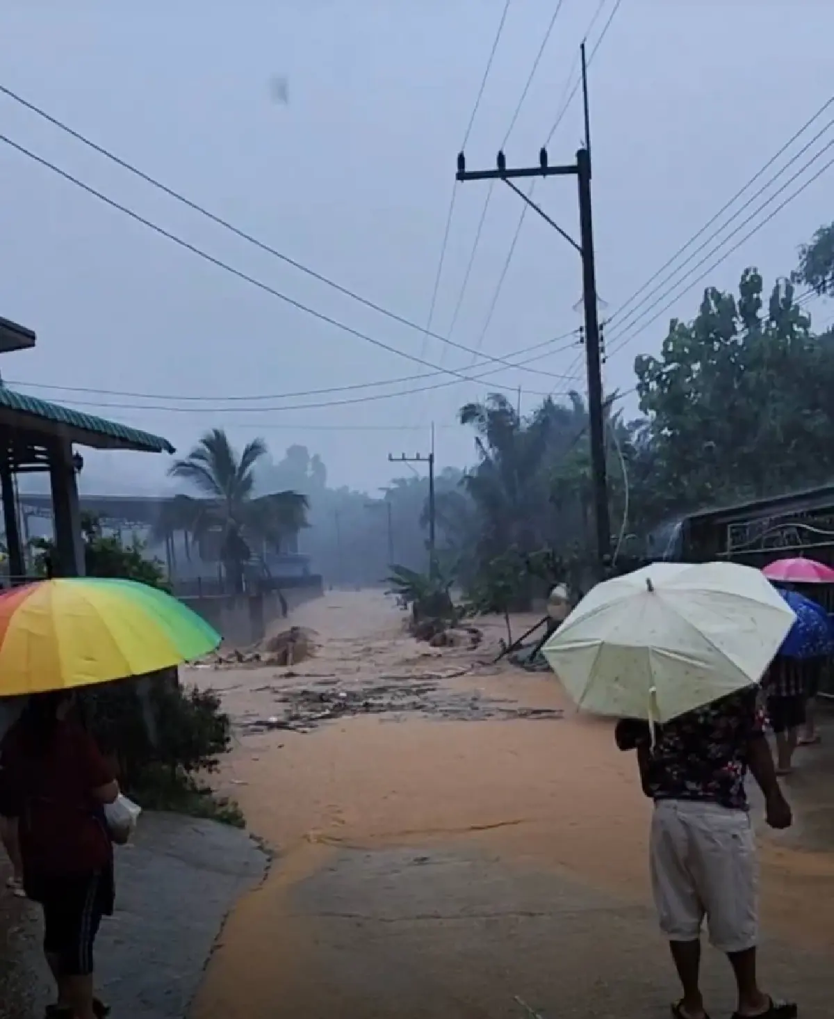 น้ำท่วมเชียงราย น้ำป่าถล่มพญาเม็งราย-เวียงชัย ขนของขึ้นที่สูง