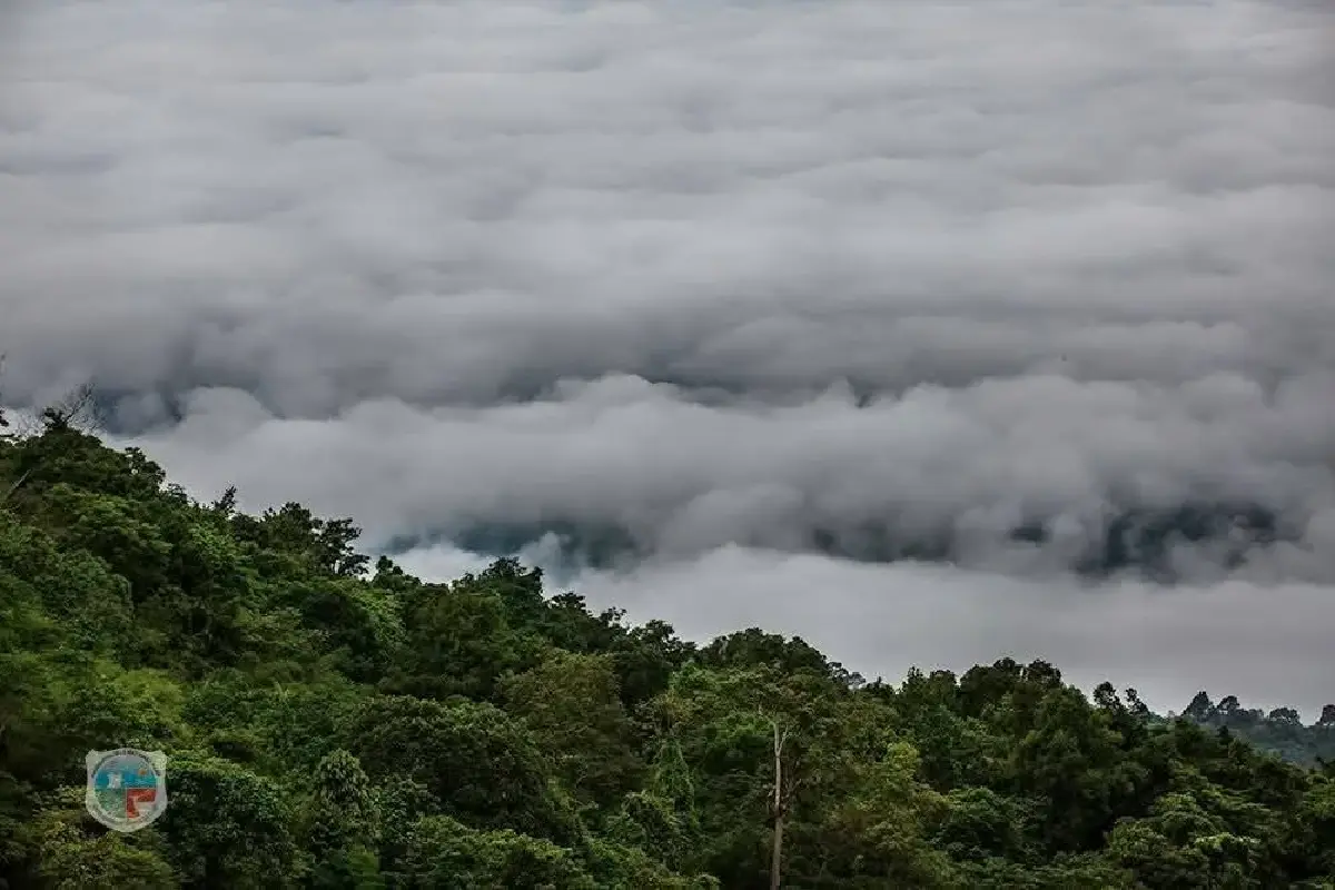 ใครอยู่เหนือบ้าง? ไปเที่ยวกัน 'ภูหินร่องกล้า' อากาศเย็นดี มีหมอก